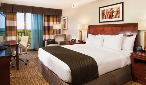 1 King Bed at DoubleTree Bethesda