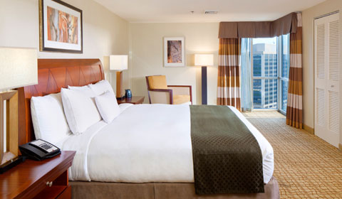 King Deluxe at DoubleTree Bethesda